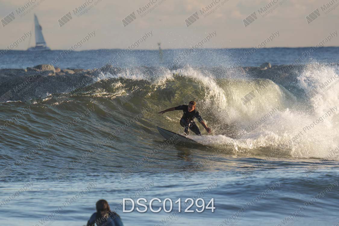 DSC01294.jpg