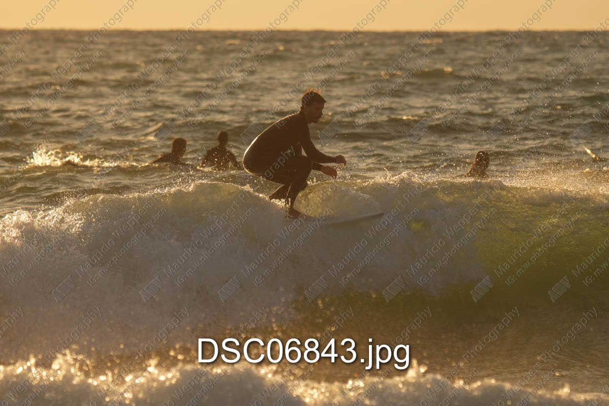 DSC06843.jpg