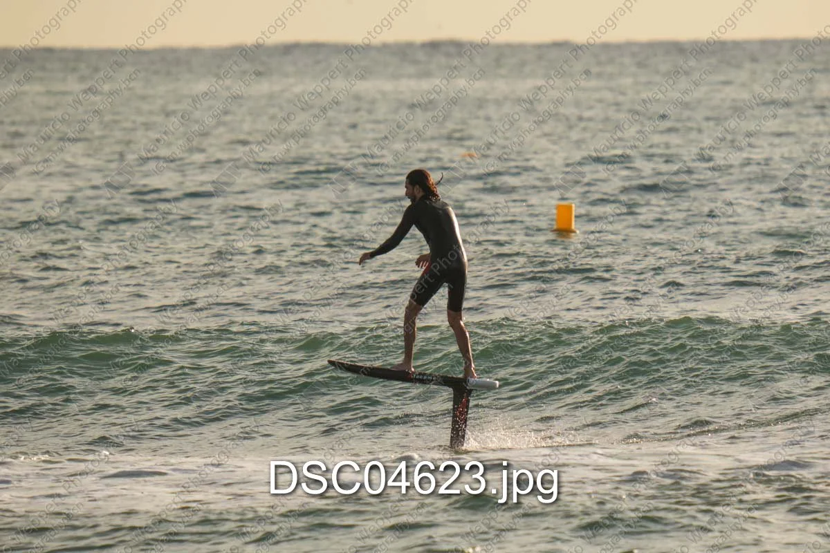 DSC04623.jpg
