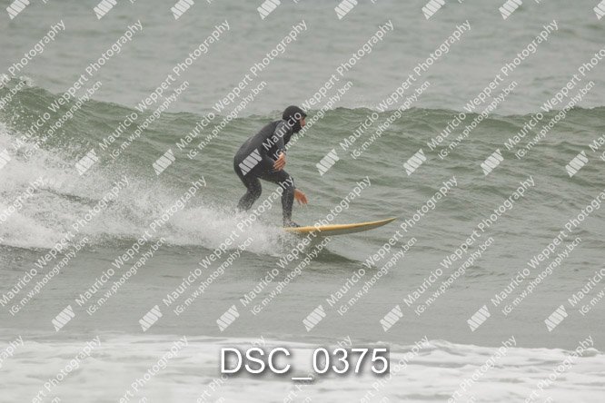 DSC_0375.jpg
