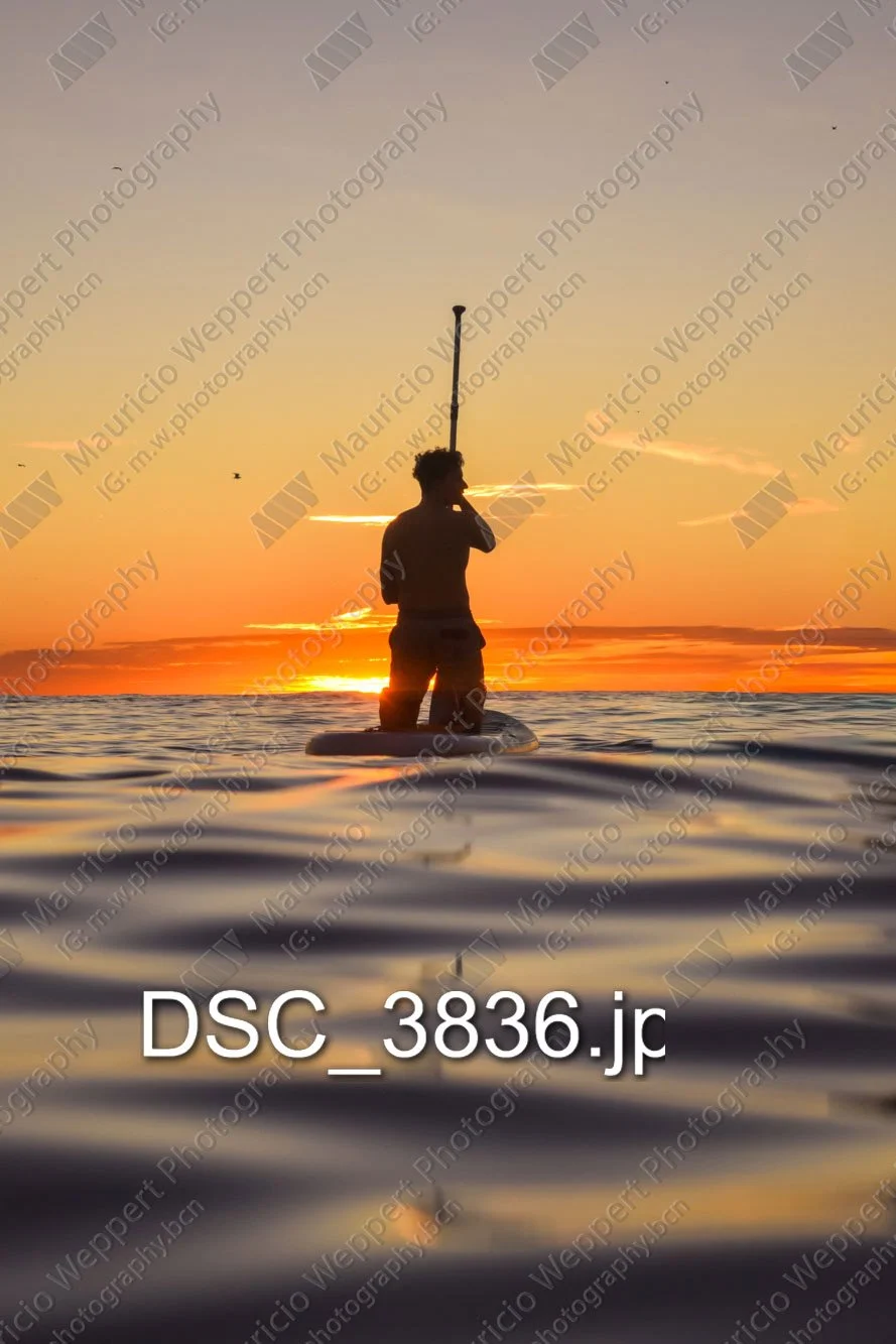 DSC_3836.jpg