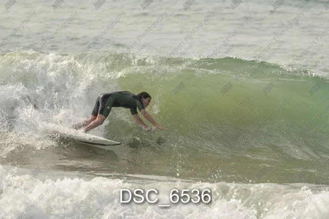 DSC_6536.jpg