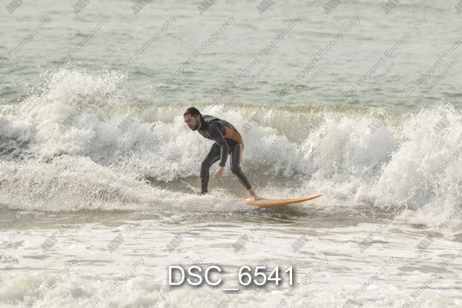 DSC_6541.jpg