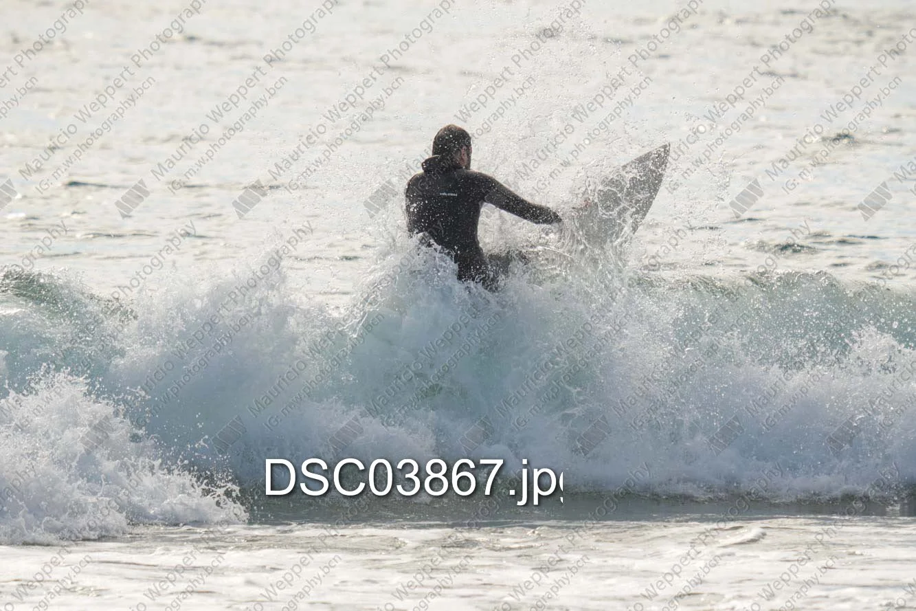DSC03867.jpg