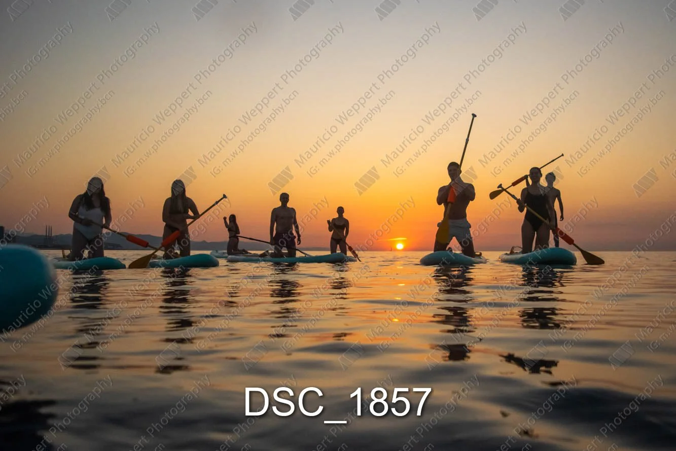 DSC_1857.jpg