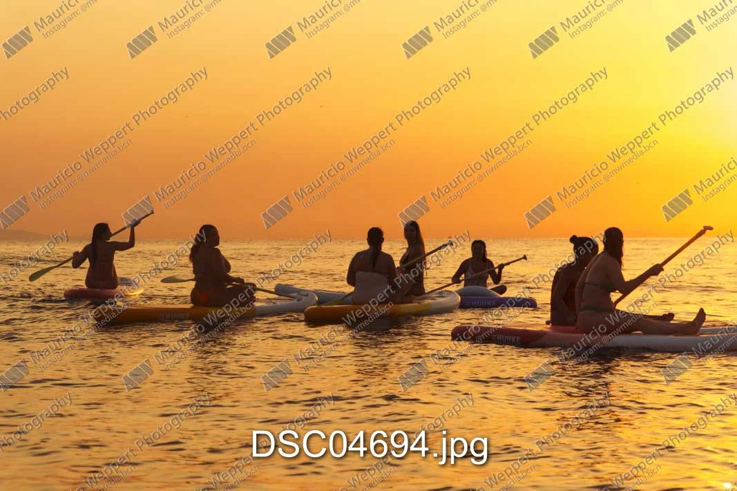 DSC04694.jpg