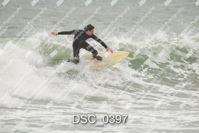 DSC_0397.jpg