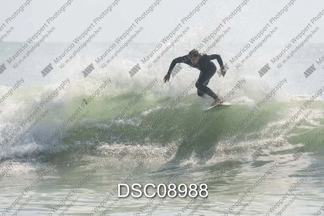 DSC08988.jpg
