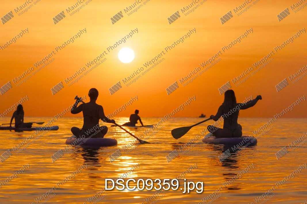 DSC09359.jpg