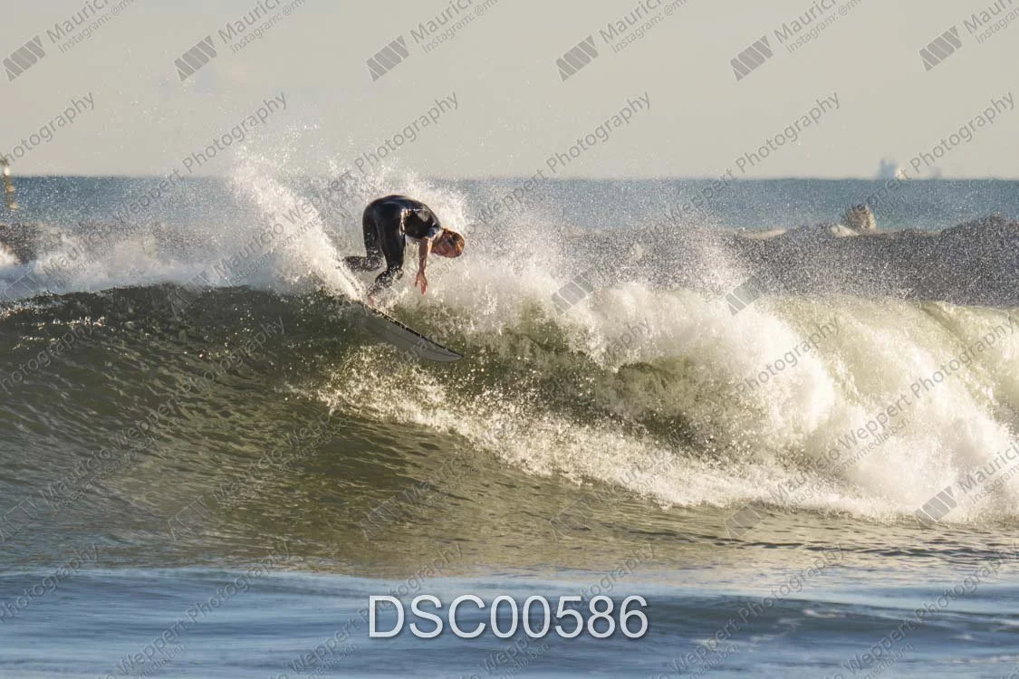 DSC00586.jpg