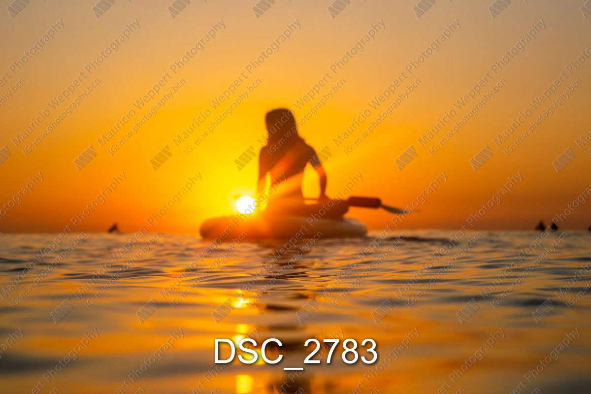 DSC_2783.jpg