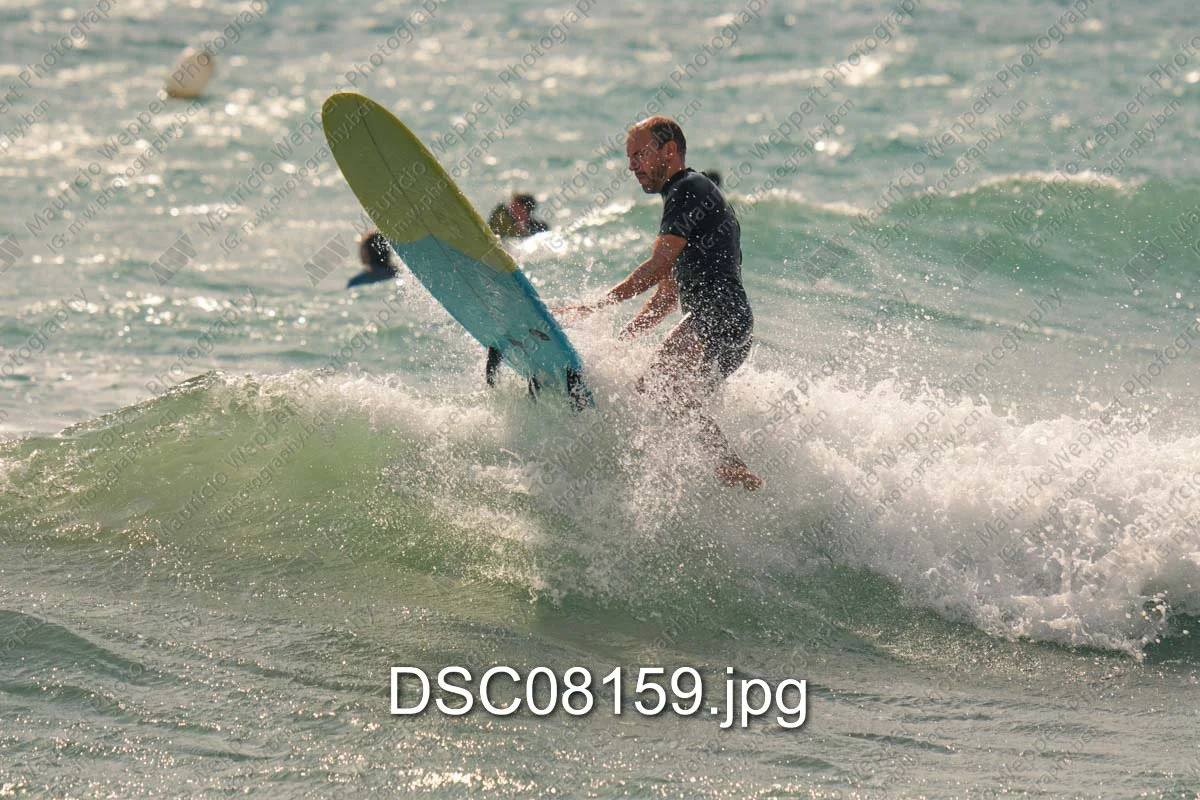 DSC08159.jpg
