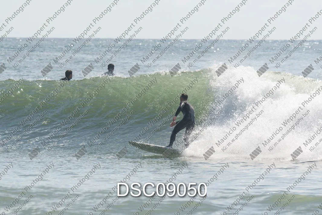 DSC09050.jpg