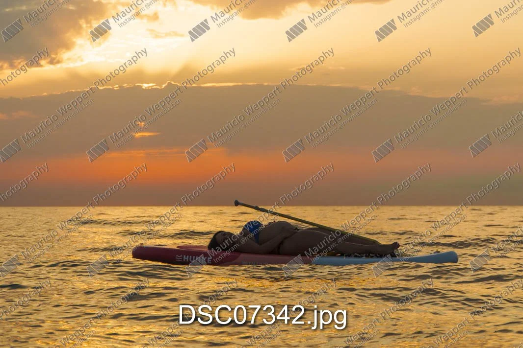 DSC07342.jpg