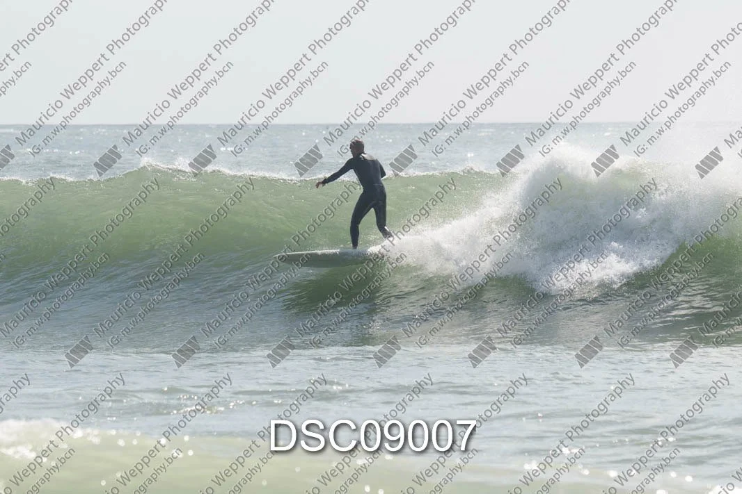 DSC09007.jpg