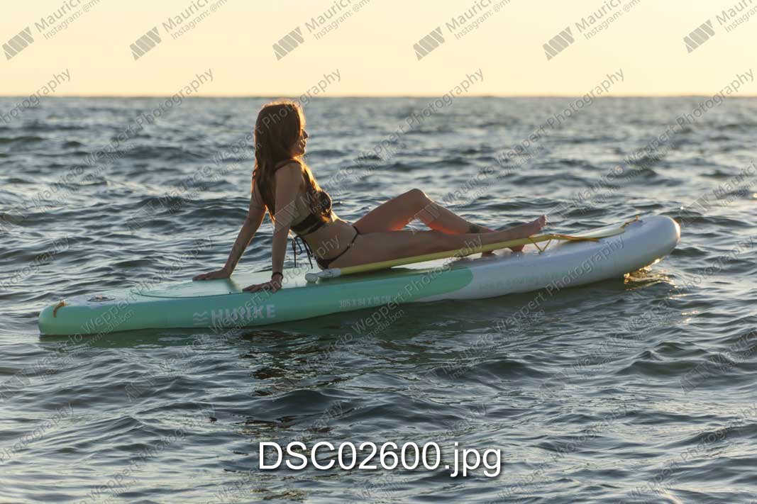 DSC02600.jpg