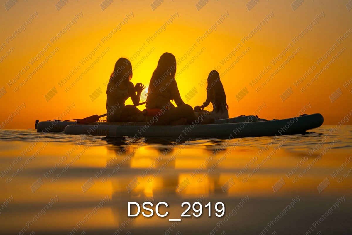 DSC_2919.jpg