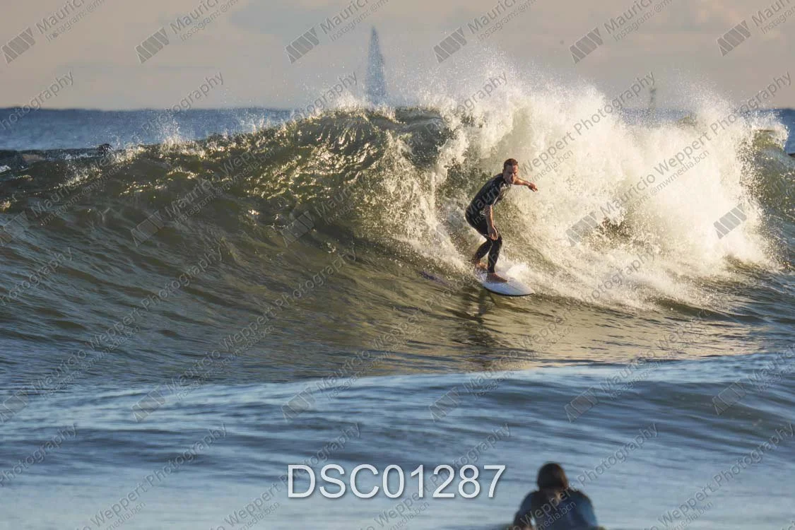 DSC01287.jpg