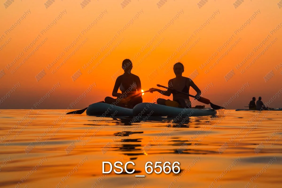 DSC_6566.jpg