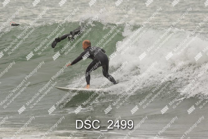 DSC_2499.jpg