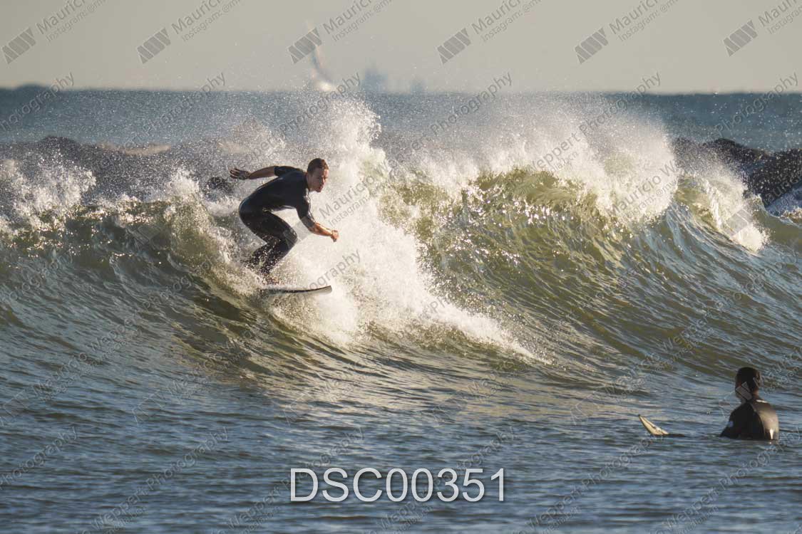 DSC00351.jpg