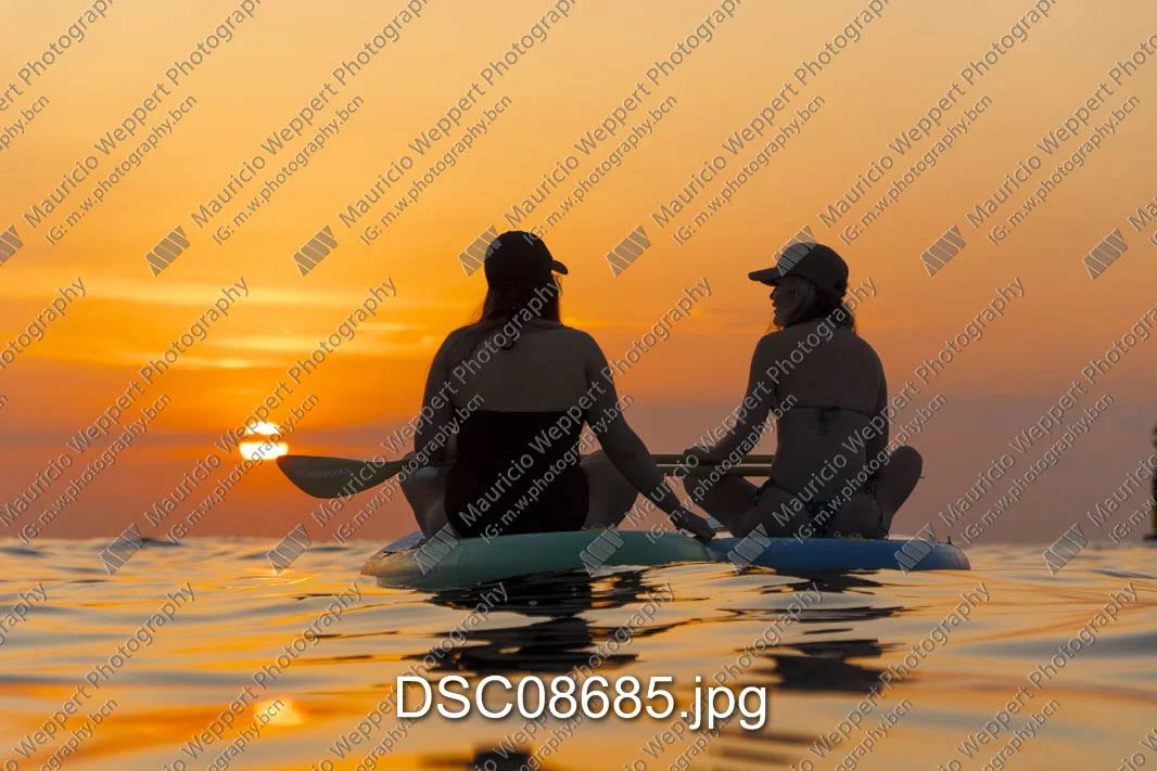 DSC08685.jpg