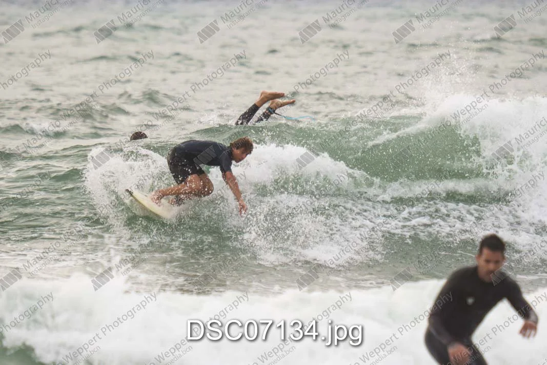 DSC07134.jpg
