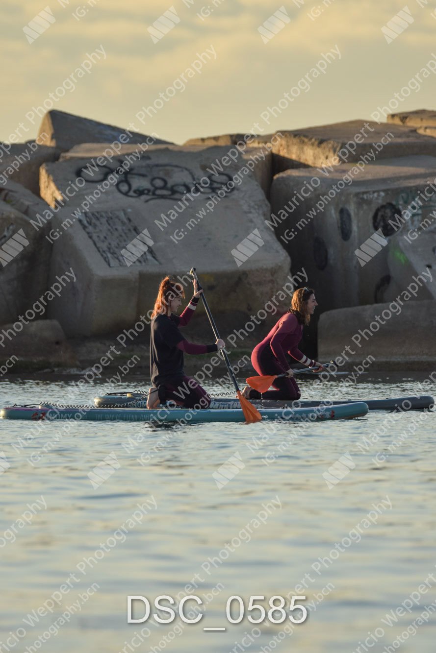 DSC_0585.jpg