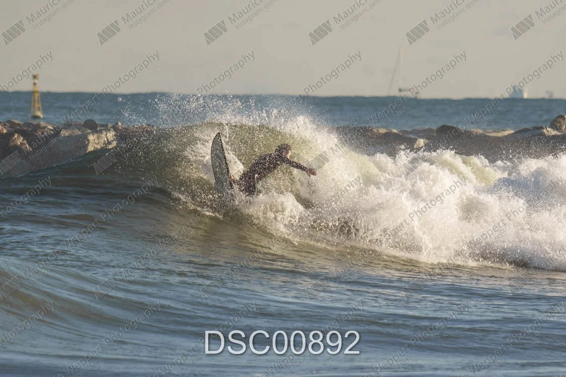 DSC00892.jpg