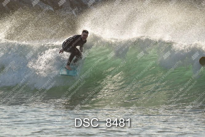 DSC_8481.jpg