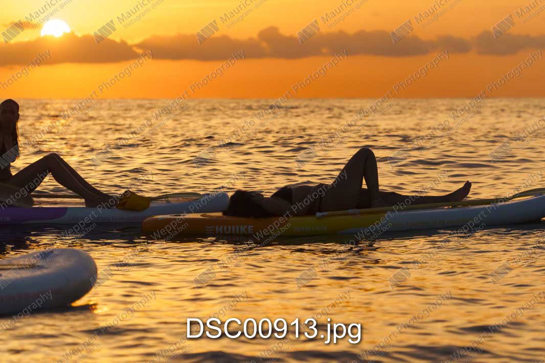 DSC00913.jpg