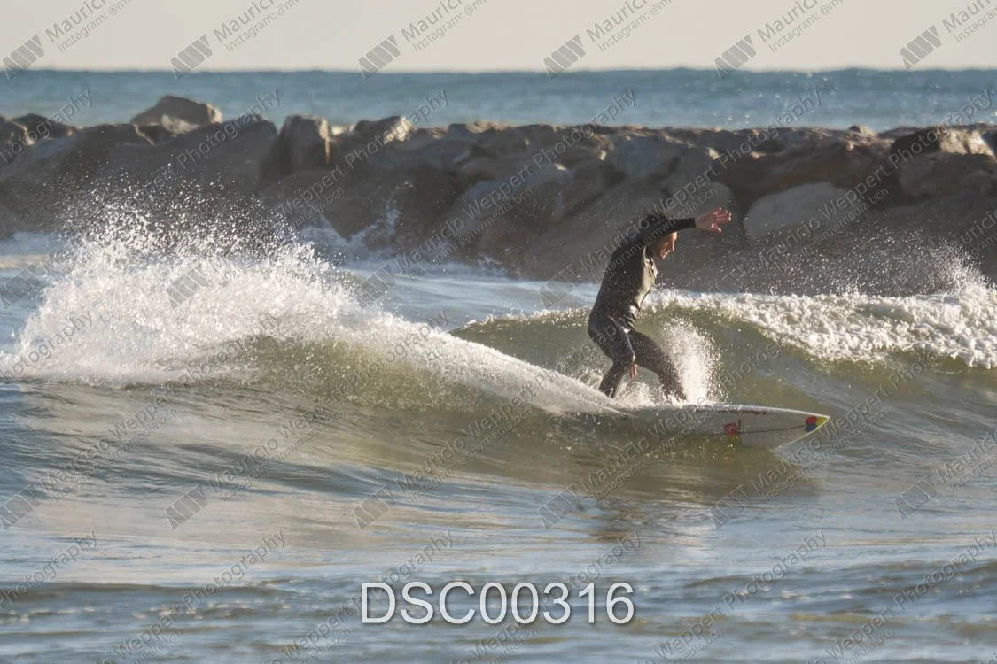 DSC00316.jpg