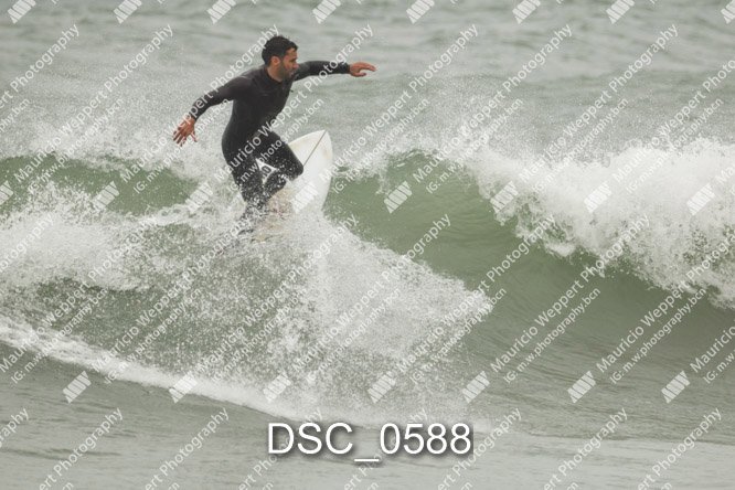 DSC_0588.jpg