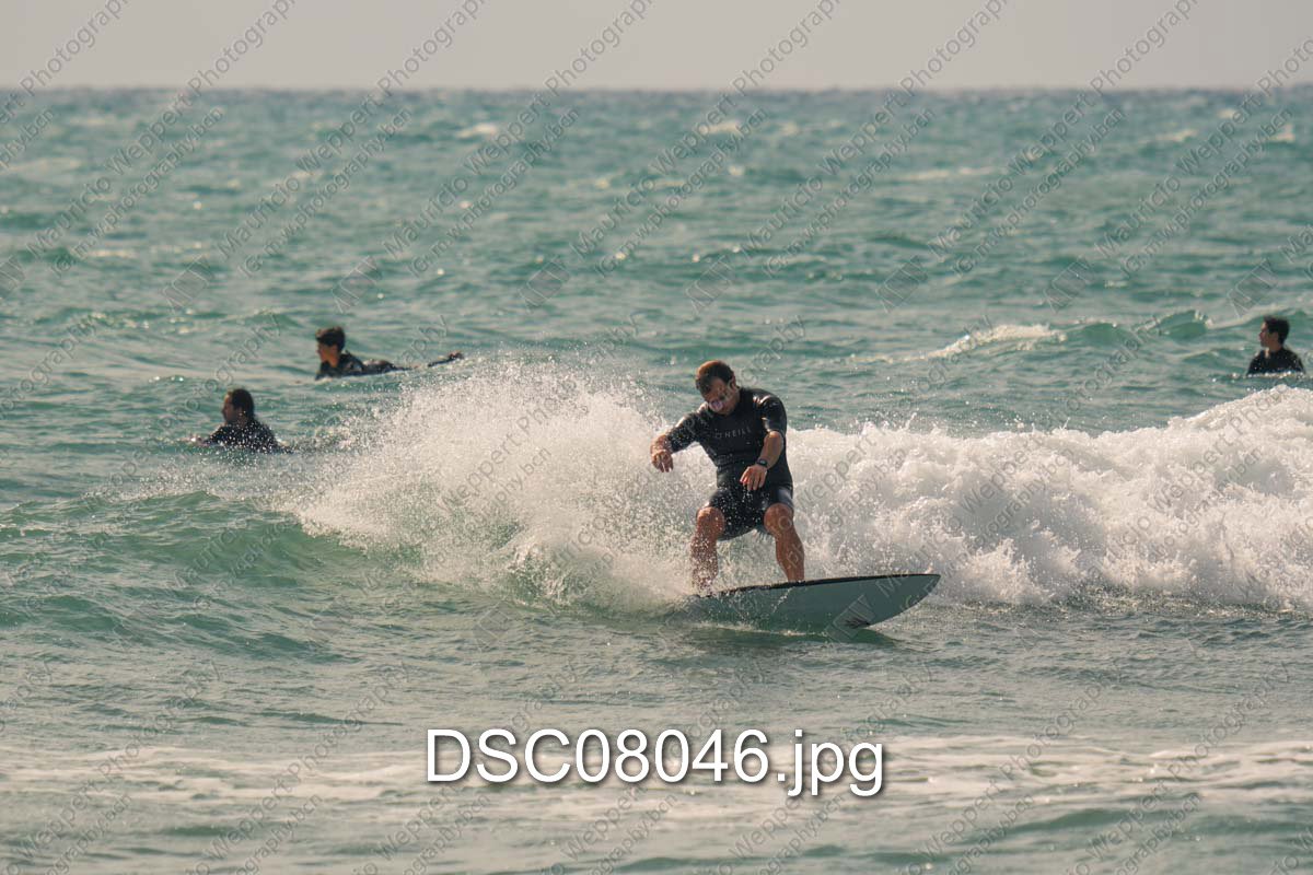DSC08046.jpg
