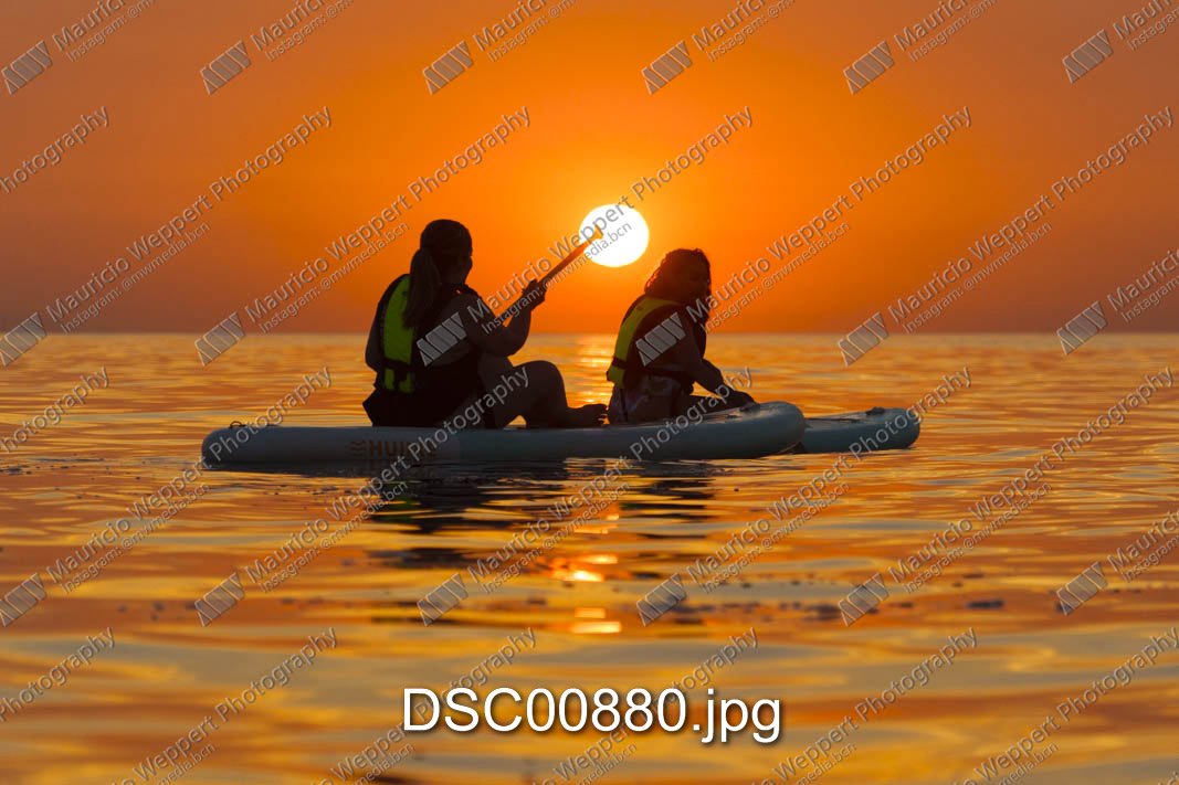 DSC00880.jpg