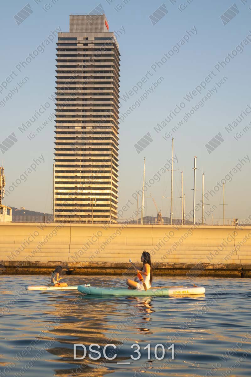 DSC_3101.jpg