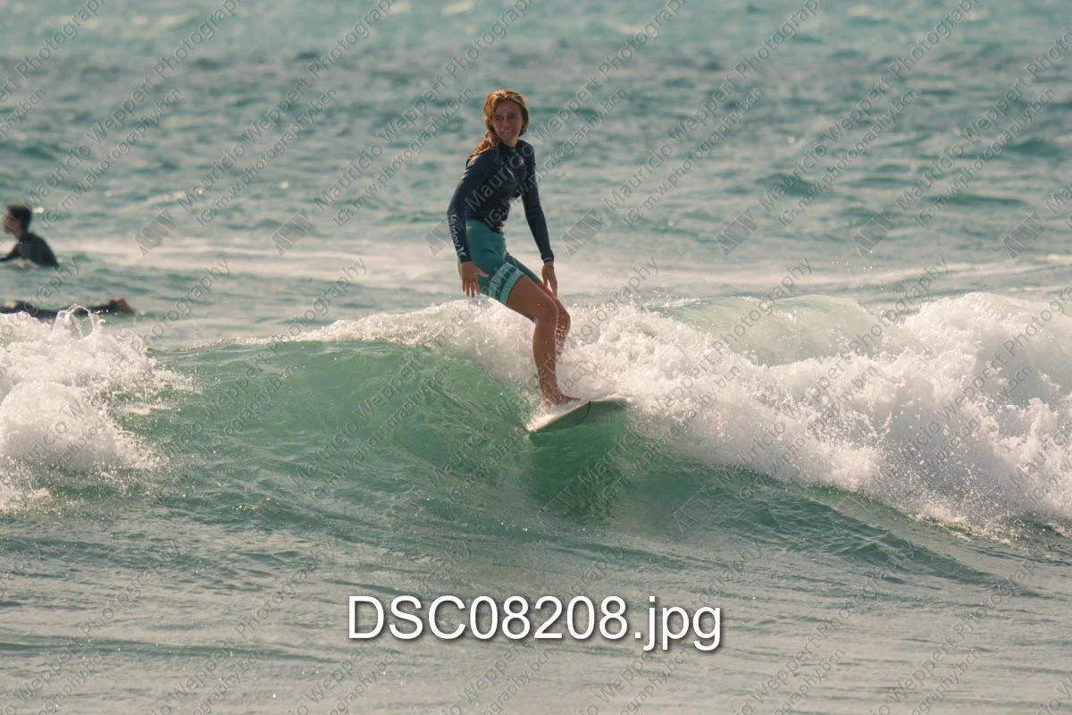 DSC08208.jpg