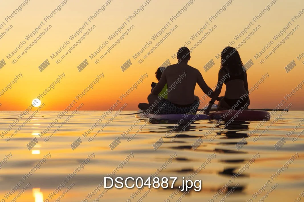 DSC04887.jpg