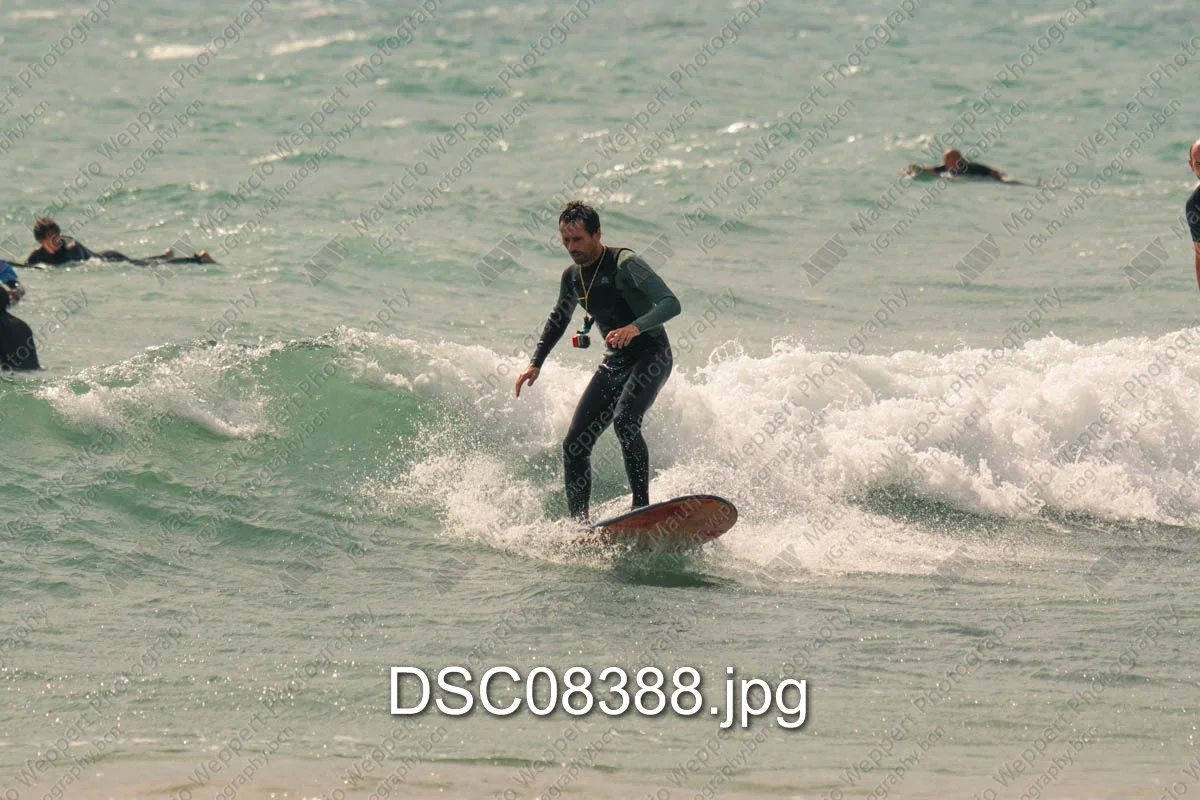 DSC08388.jpg