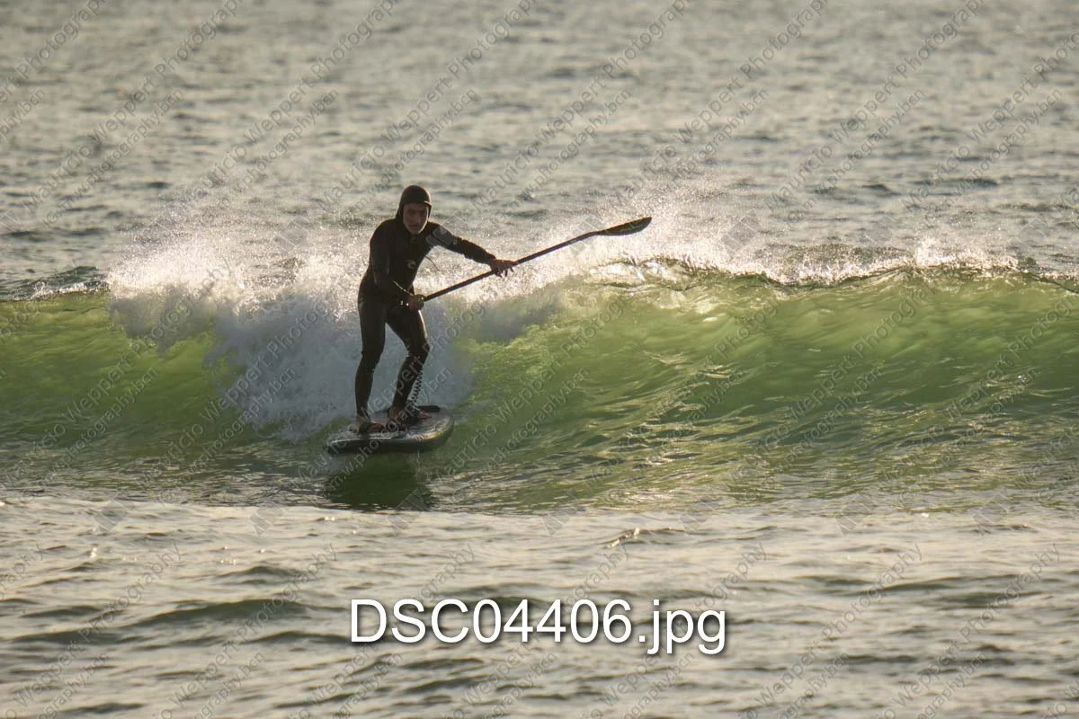 DSC04406.jpg