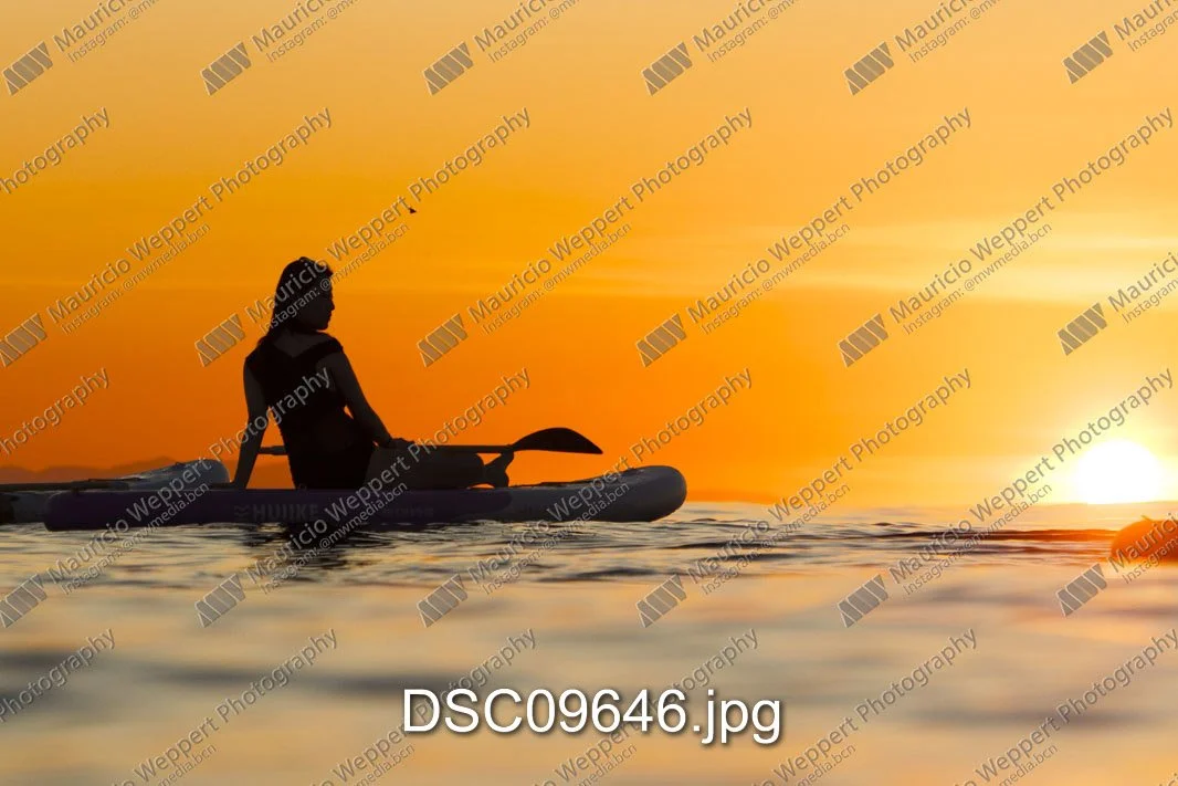 DSC09646.jpg