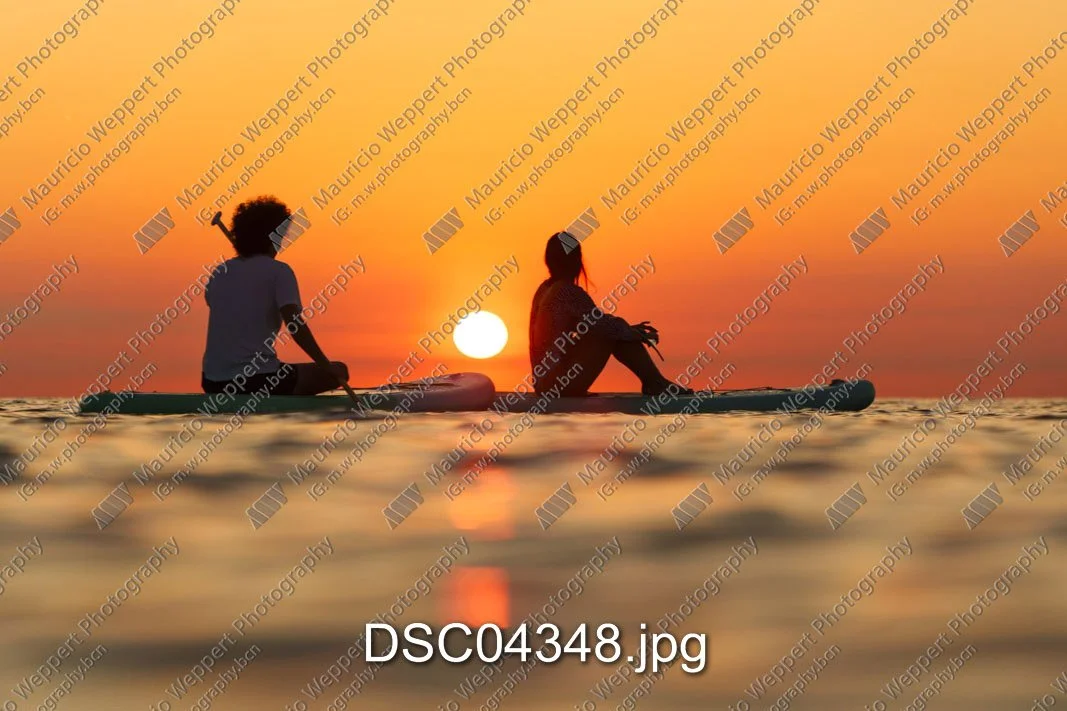 DSC04348.jpg
