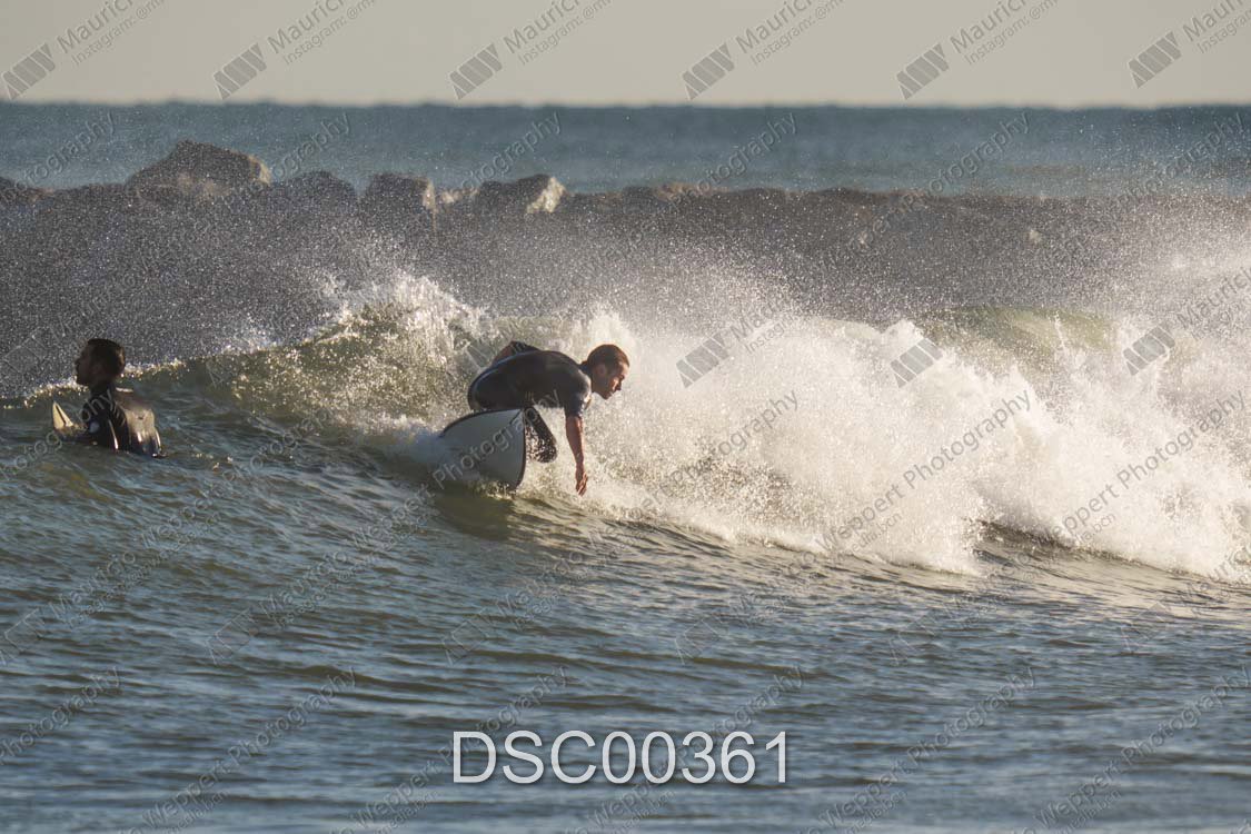 DSC00361.jpg