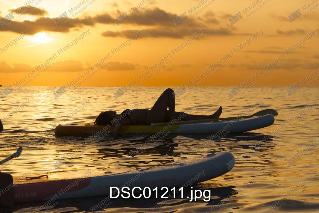 DSC01211.jpg