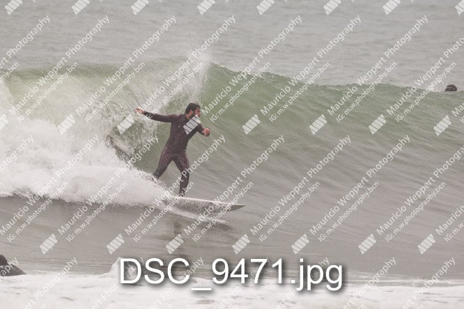 DSC_9471.jpg