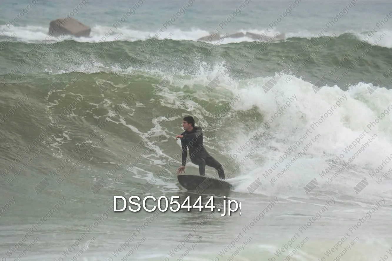 DSC05444.jpg