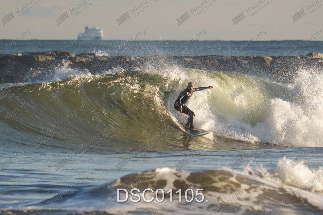 DSC01105.jpg