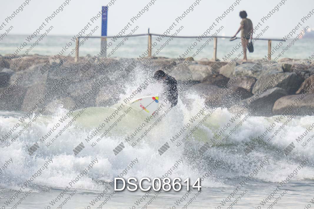 DSC08614.jpg