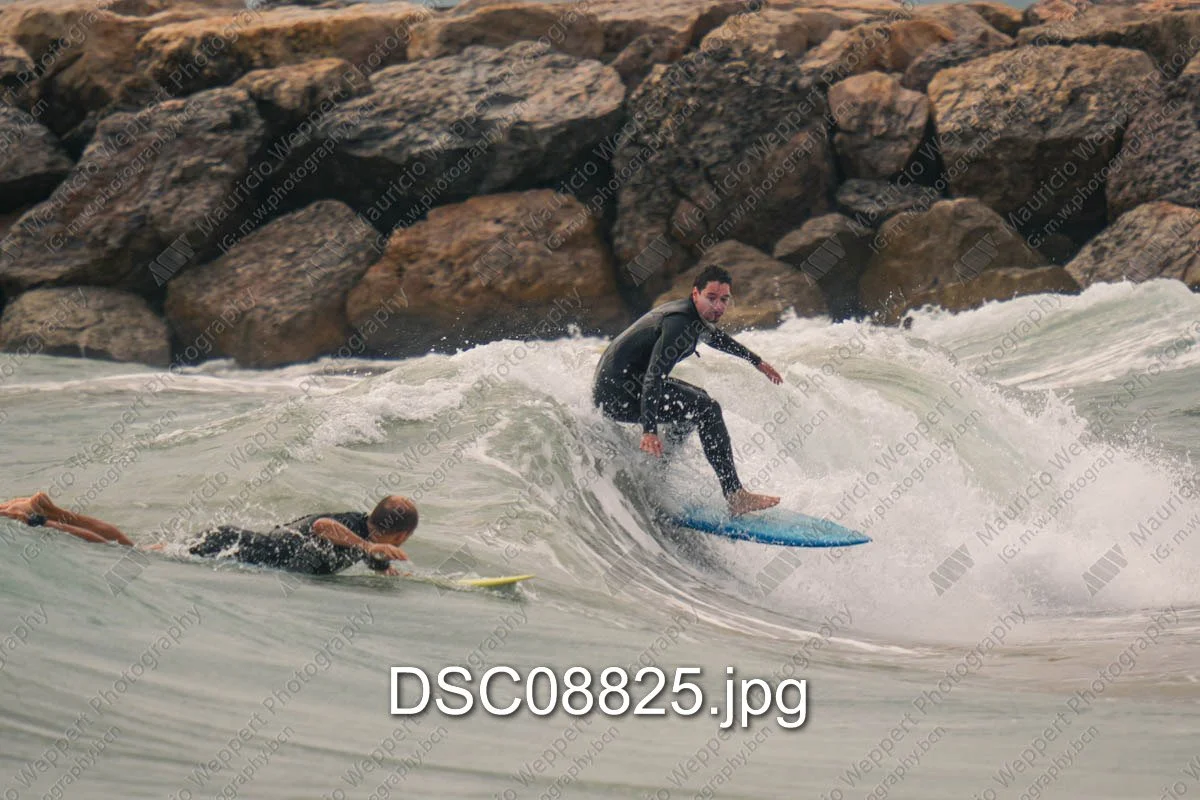 DSC08825.jpg