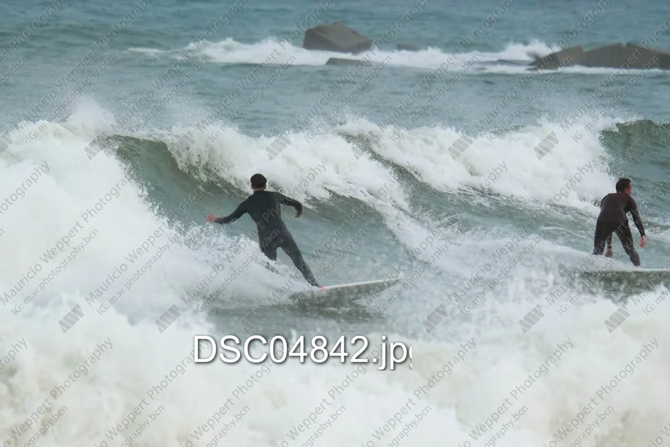 DSC04842.jpg